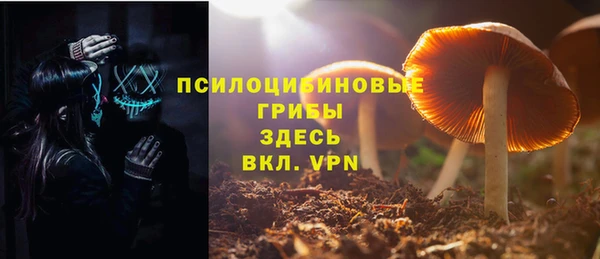 трава Богородицк