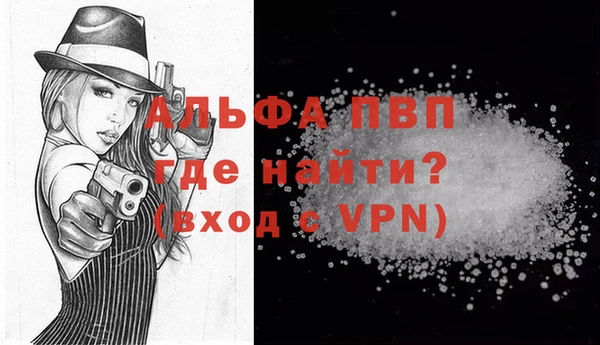 spice Белокуриха